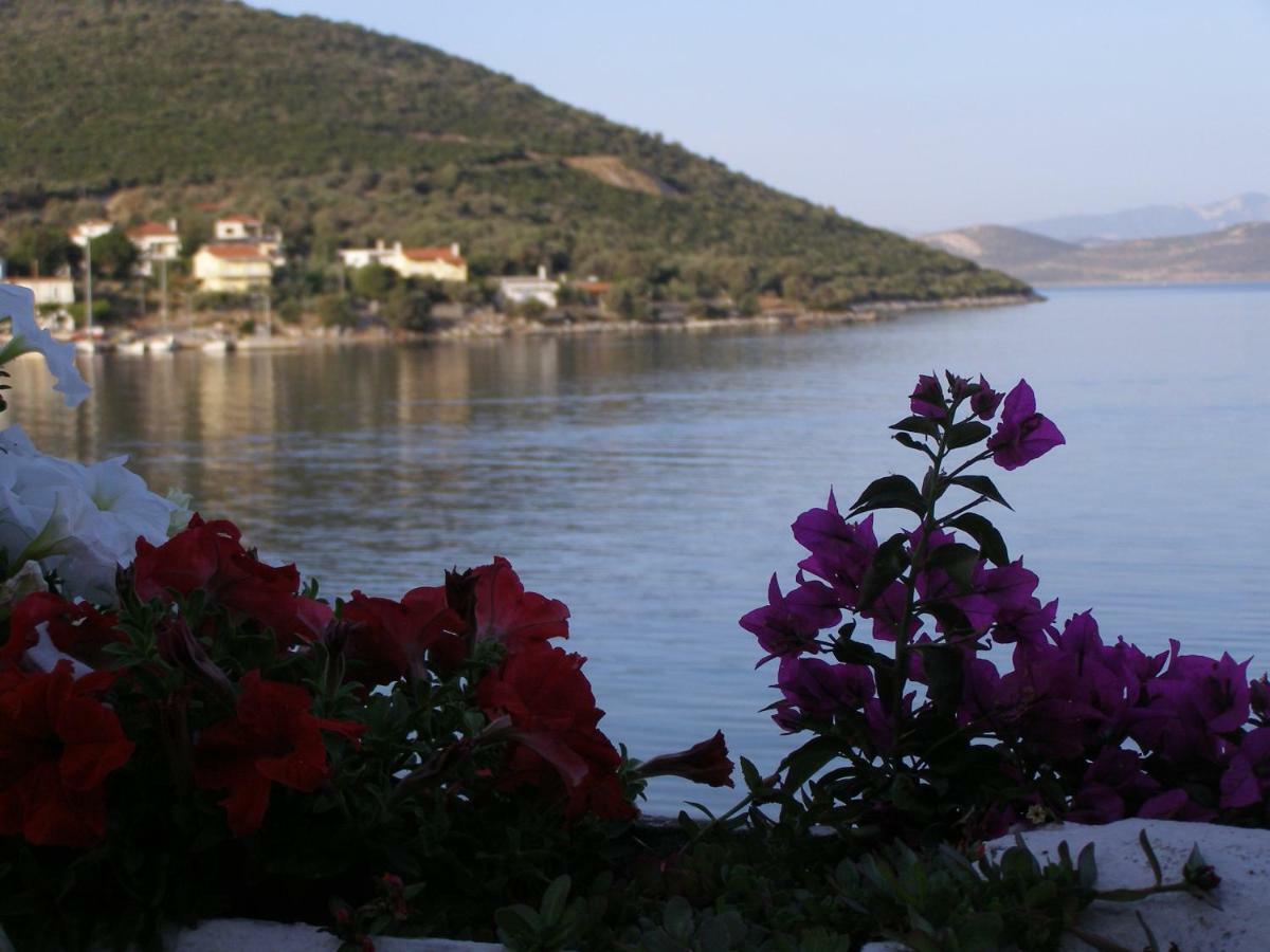 Meli-Ios Vendégház Almiropótamosz Kültér fotó